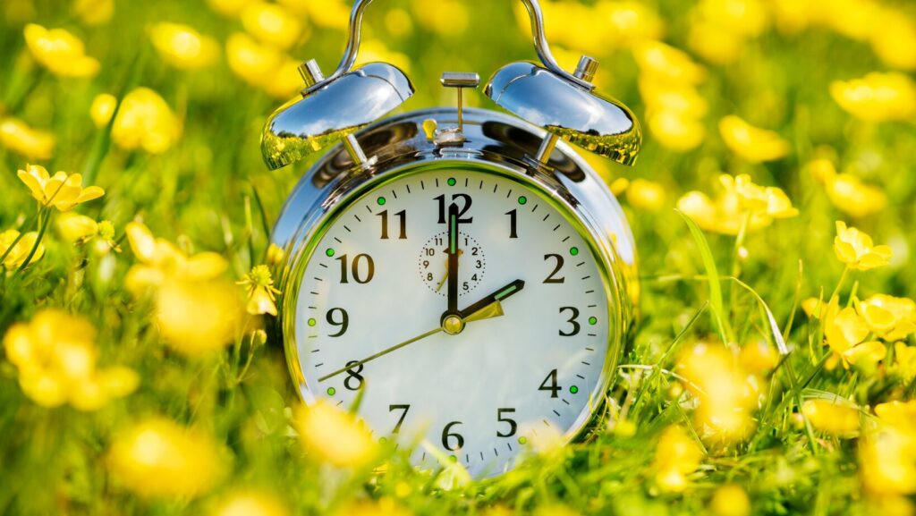 daylight savings time clock